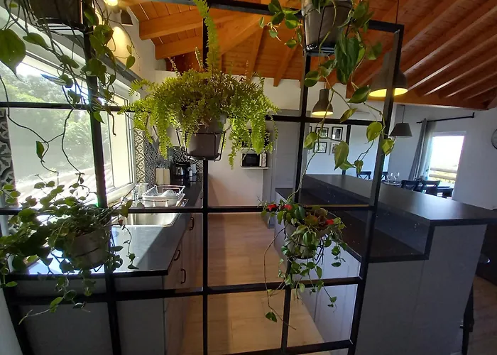 Belch1952 アパート