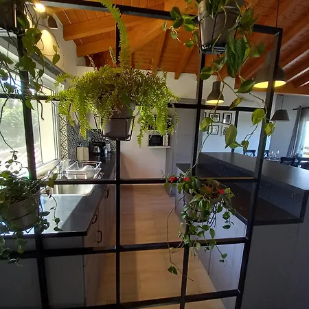 Belch1952 Appartement