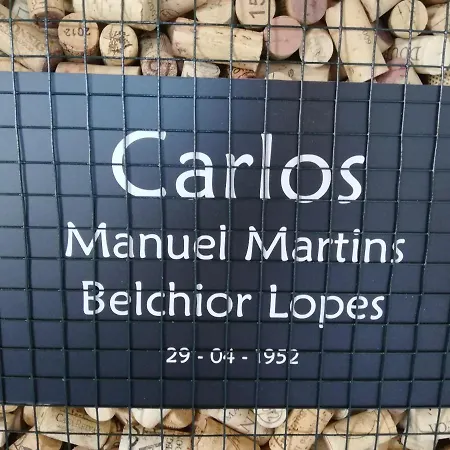 Belch1952